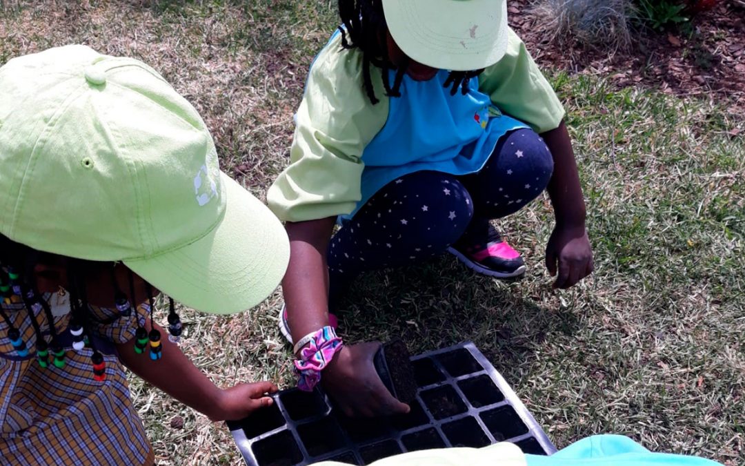 Crescer a brincar – Dia Mundial da Criança no Centro Social 6 de maio