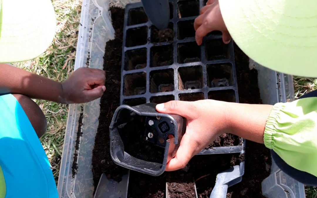 Dia Mundial da Criança: É preciso escutar as crianças porque «elas têm muito a dizer» – Irmã Deolinda Rodrigues